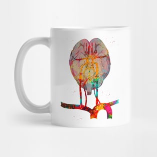 Brain and brainstem Mug